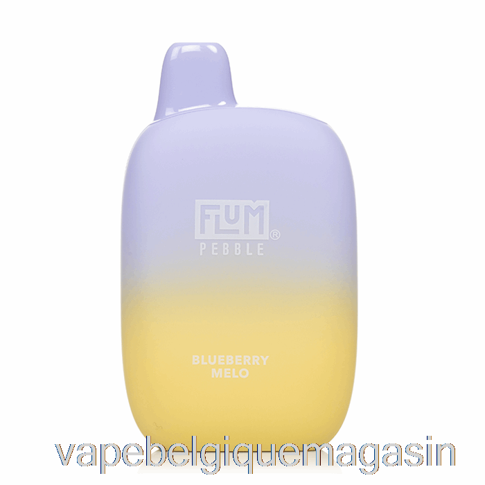 Vape Belgique Flum Pebble 6000 Jetable Myrtille Melo
